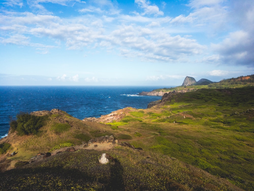 aerial photography of body of water and green cliffs