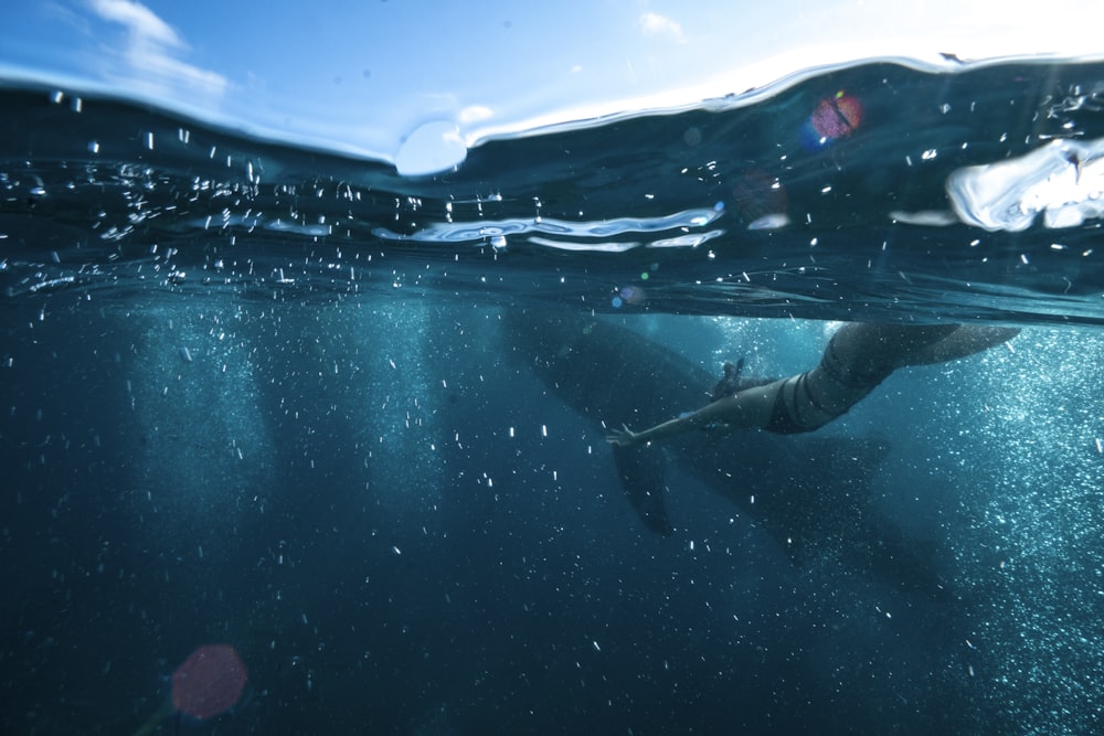 person swimming underwater