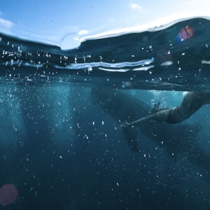 person swimming underwater