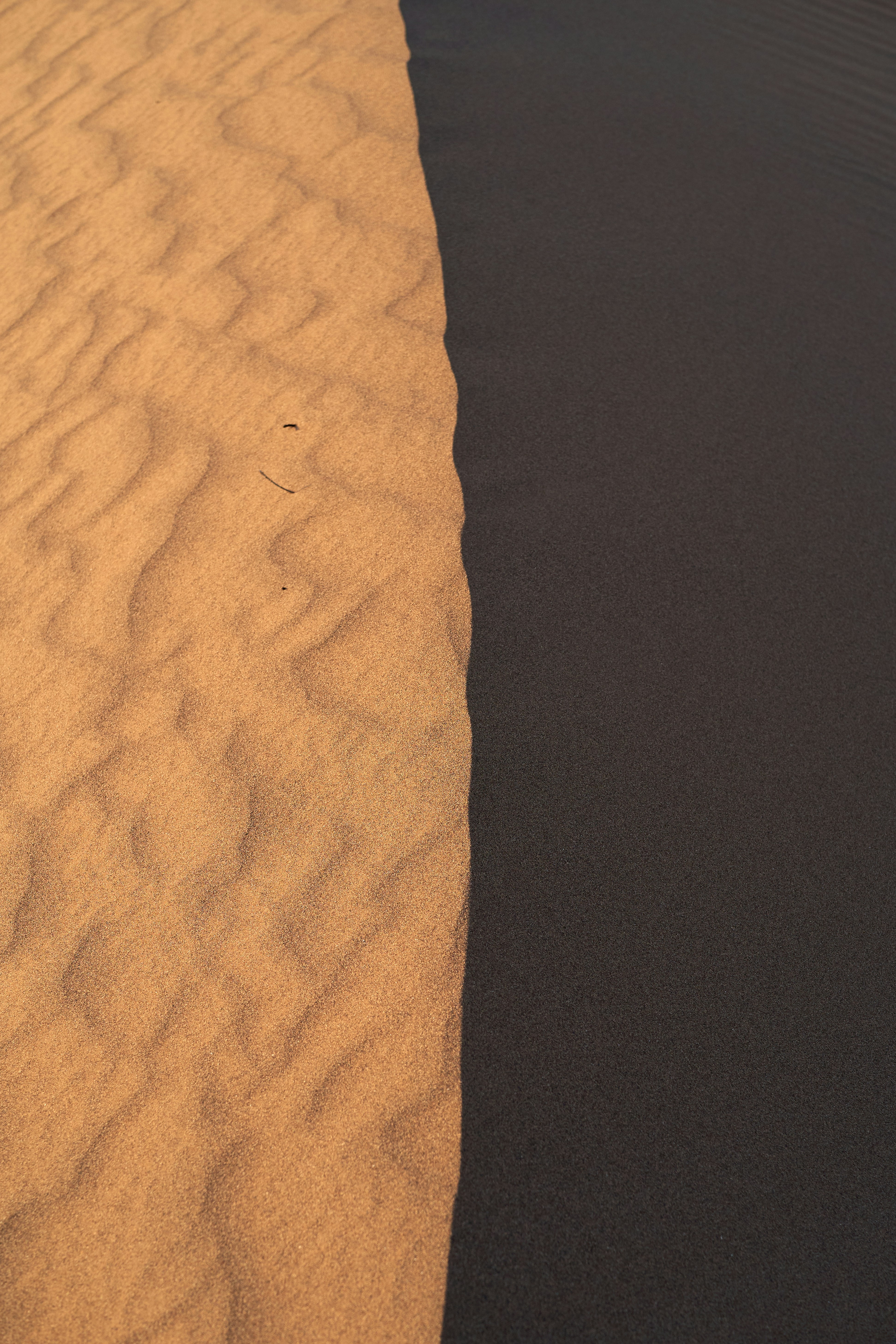 Photo by wolfgang_hasselmann