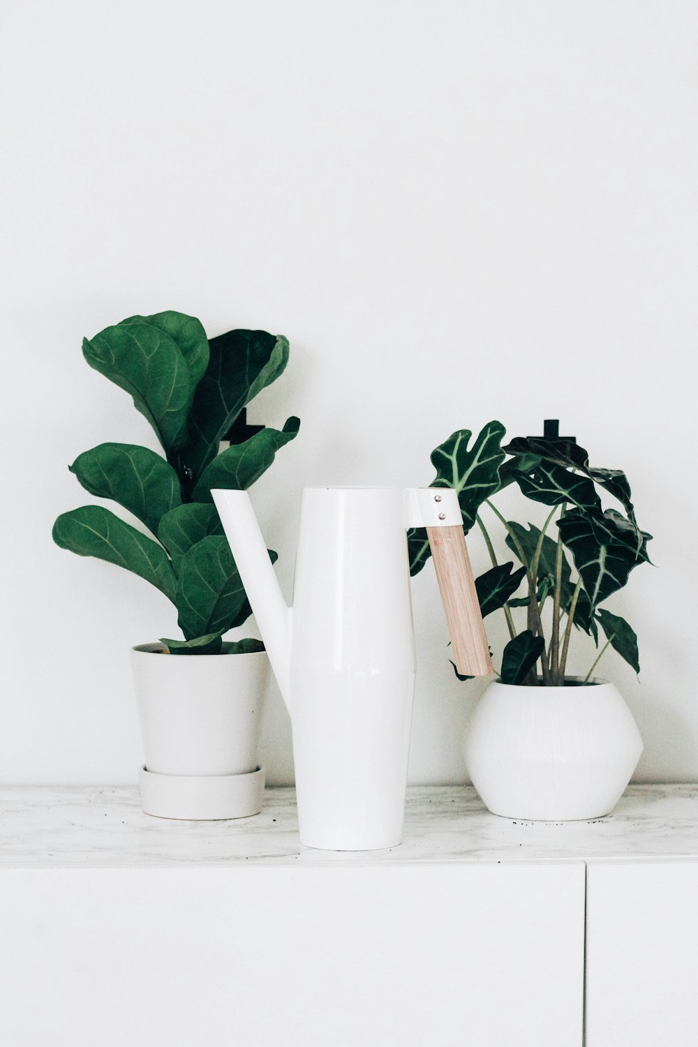 trois vases à plantes