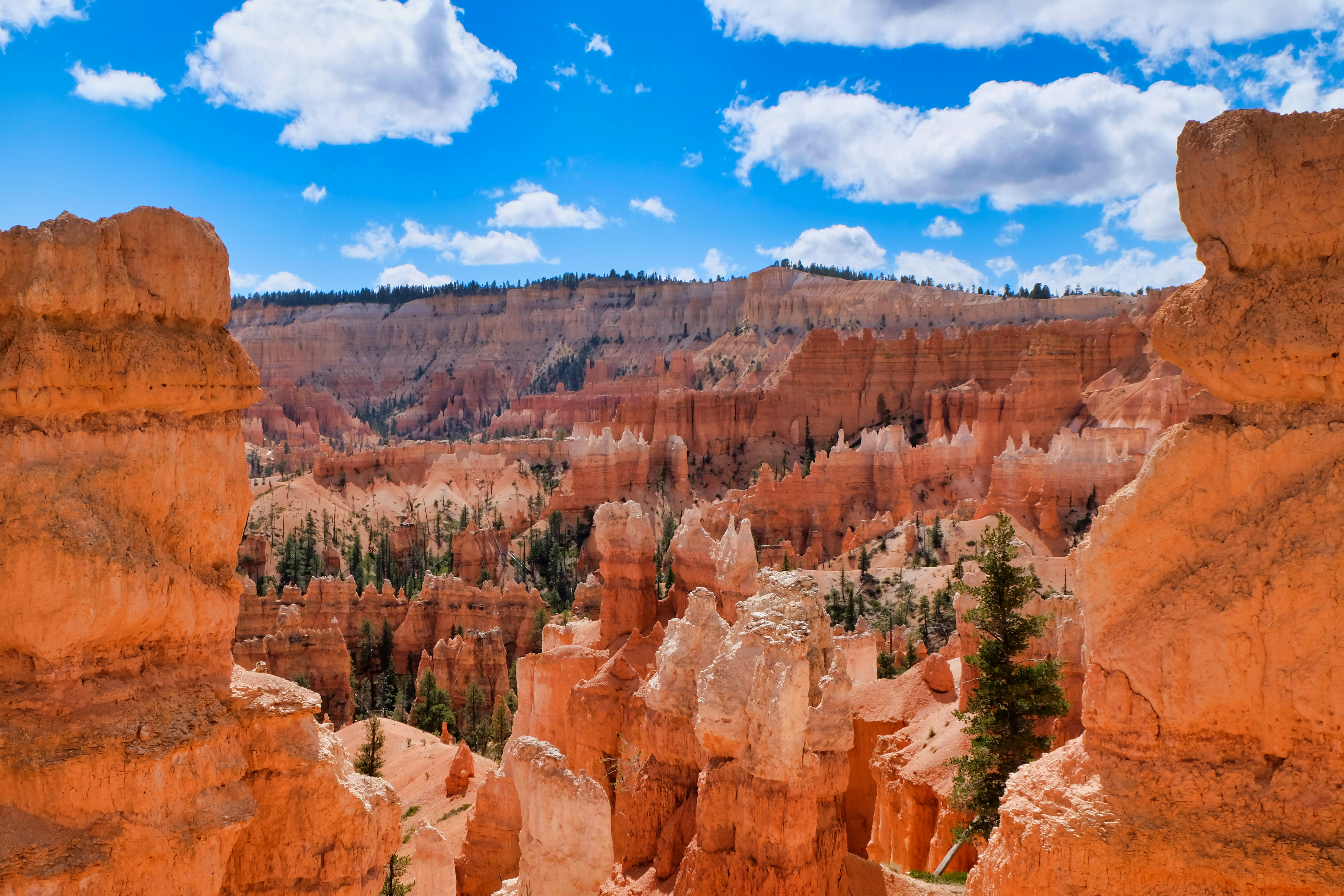 Photo by digitalarbyter