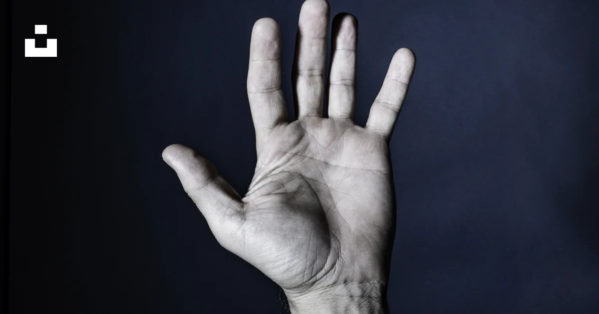 Person's left hand photo – Free Hand Image on Unsplash