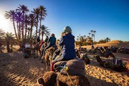 four person ride on camel