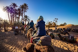 four person ride on camel