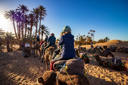 Four travellers on camels