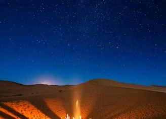 people sitting near bonfire during night time