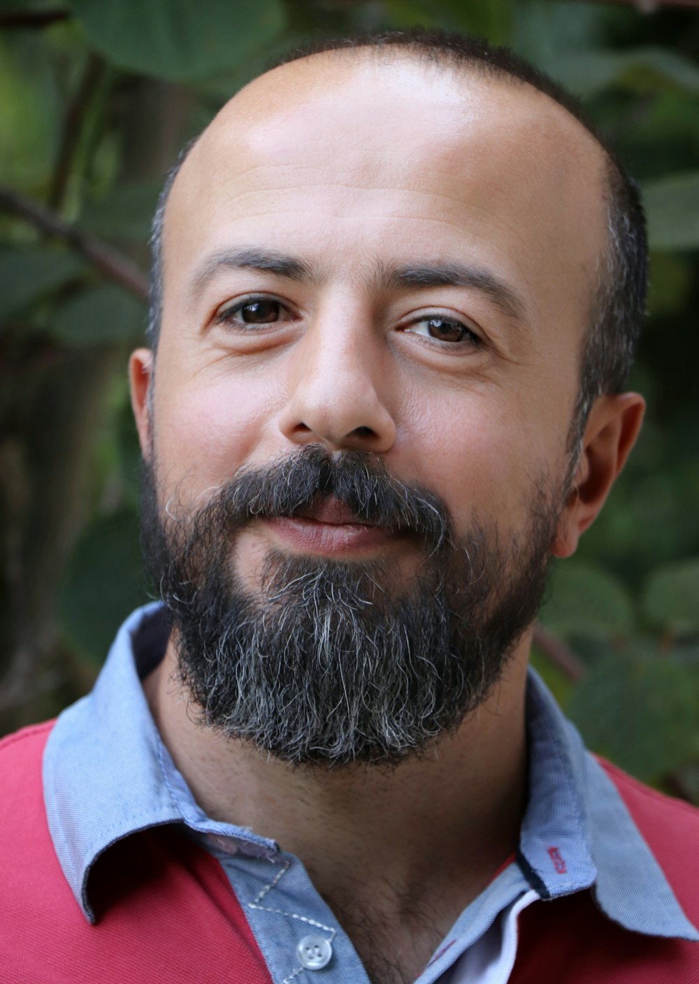 man wearing blue and red collared shirt