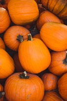 pile of orange pumpkin
