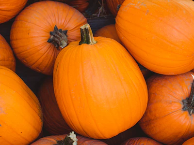 Pumpkin
