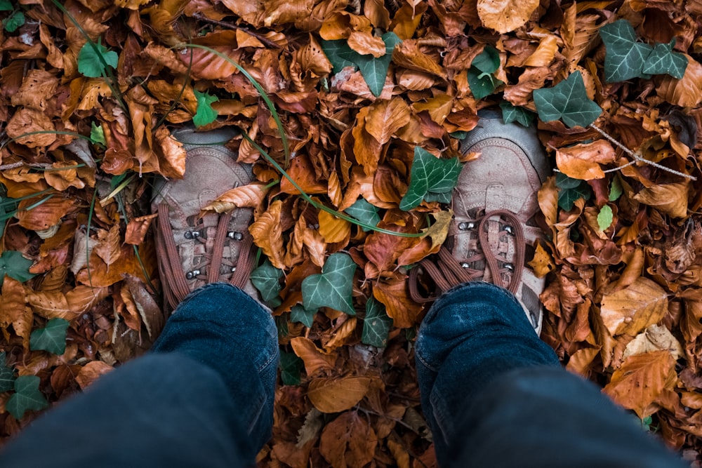 person wearing brown shoes