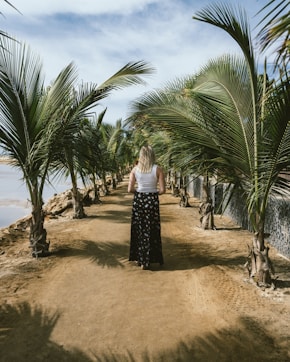 Luminisle Cape Verde
