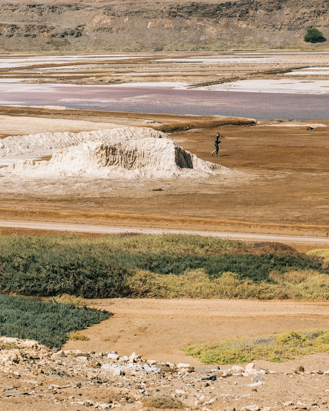 man standing at middle of field