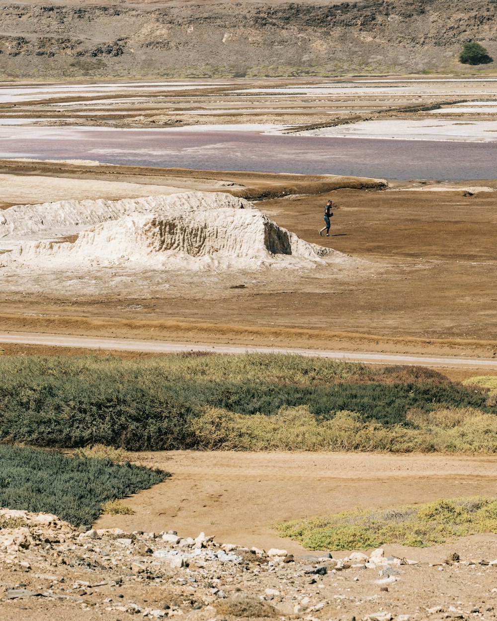 man standing at middle of field