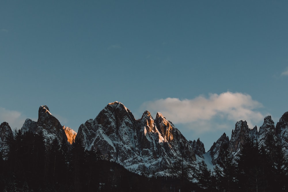 a group of snow covered mountains with trees in the foreground