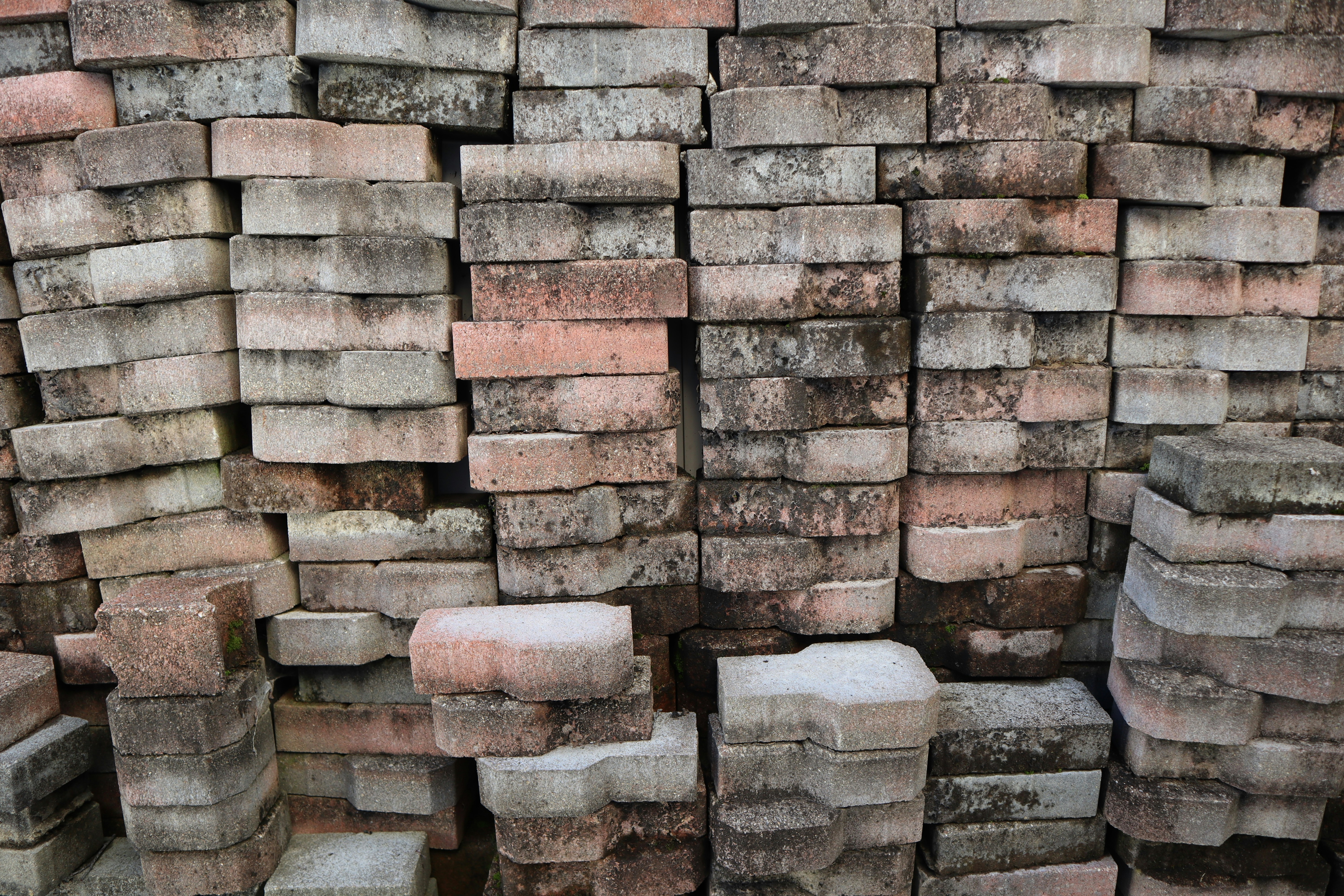 Photo by divide_by_zero