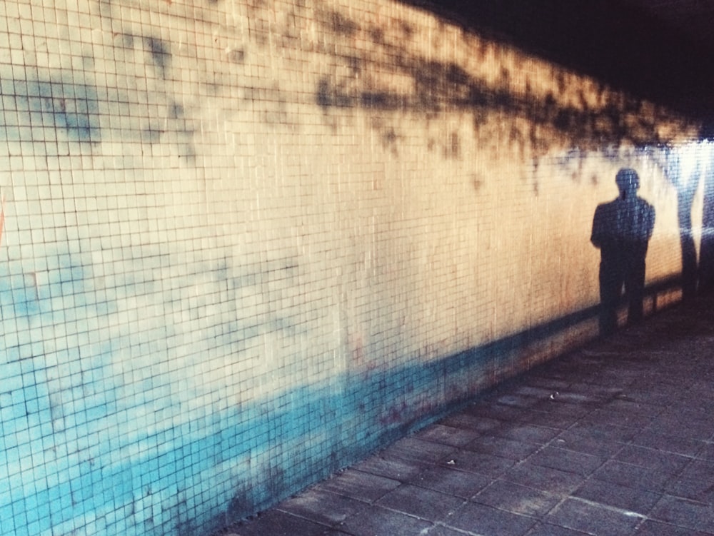 shadow of person beside tree