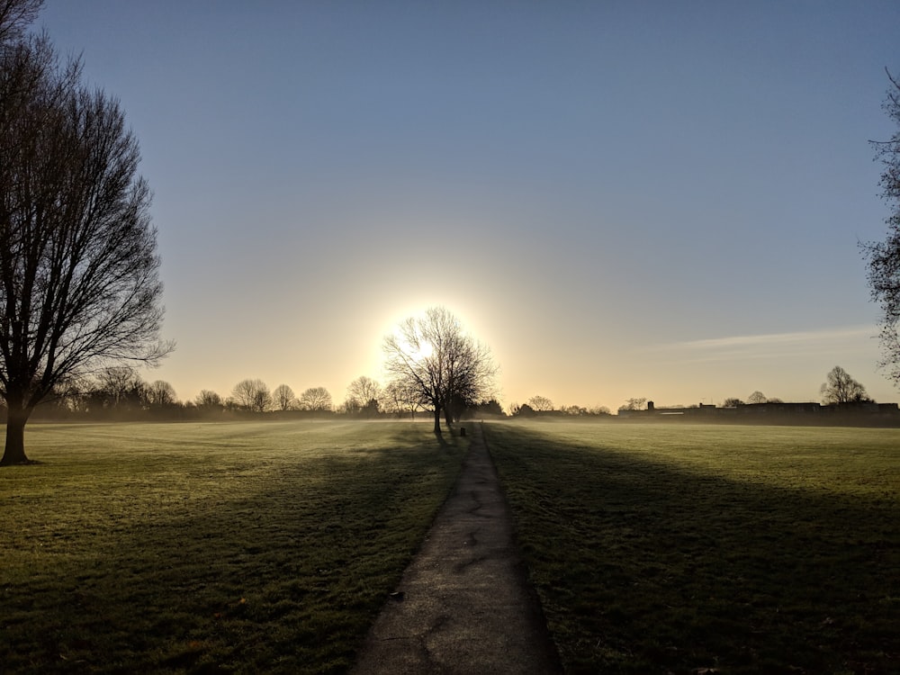 gray road between green grass