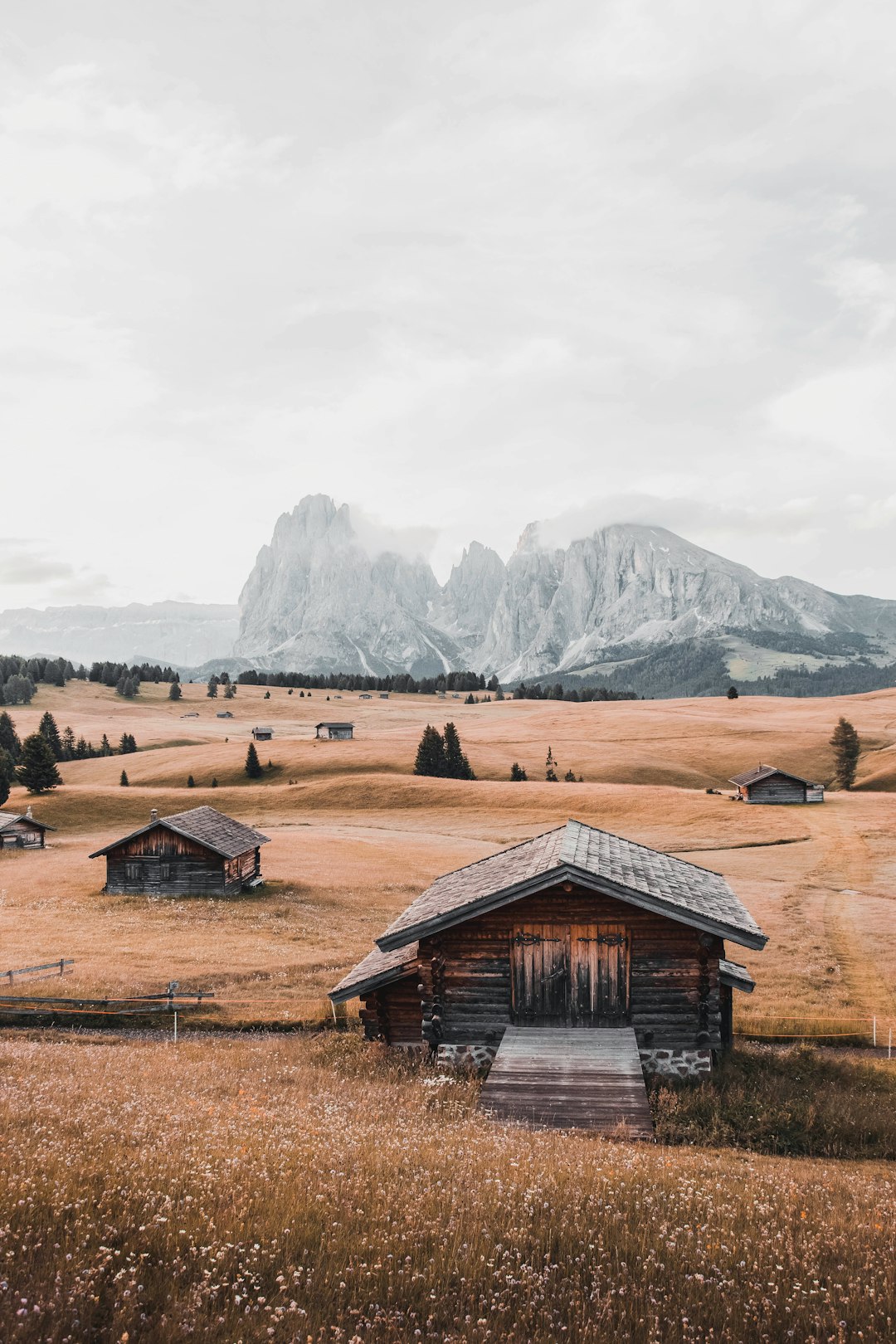 houses under white sky