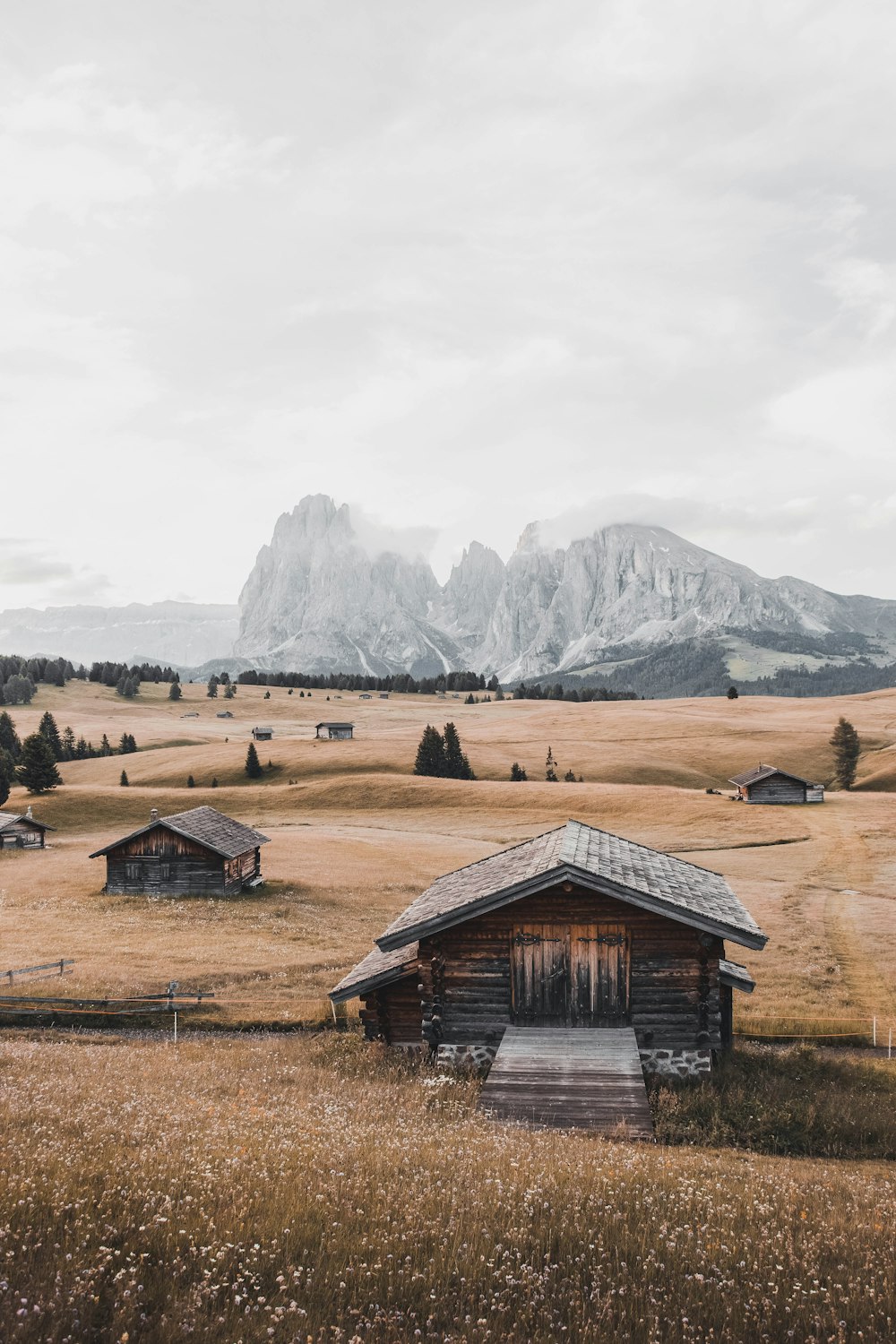 houses under white sky