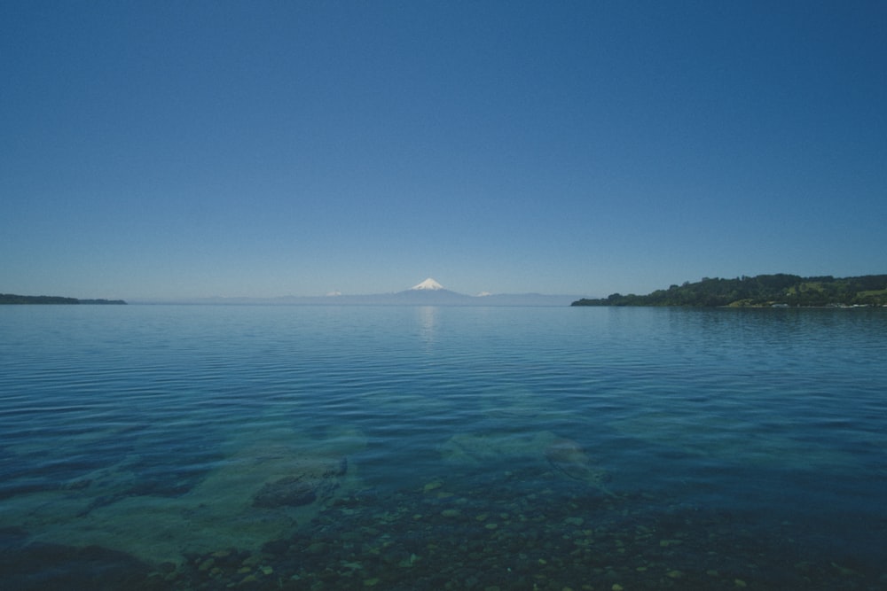 ocean during daytime