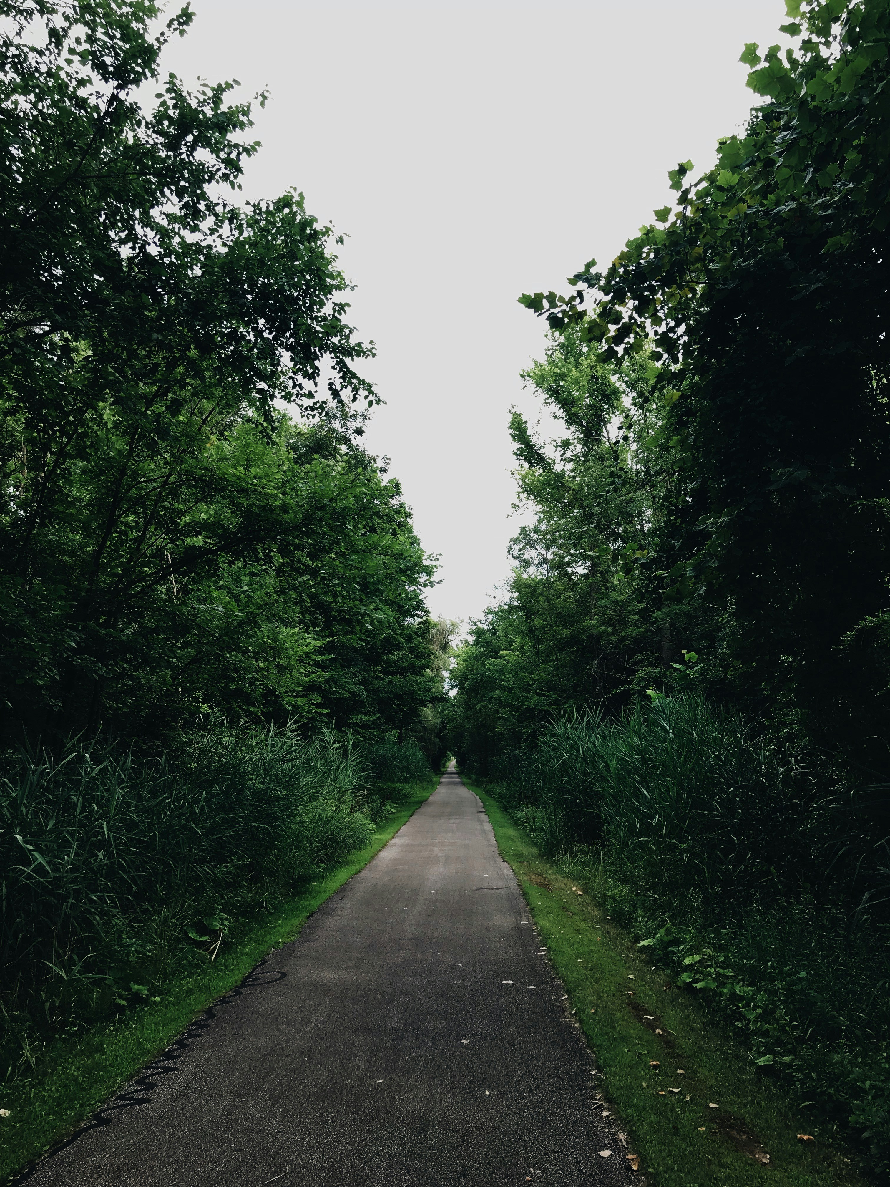 Photo by morganvongunten