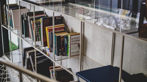 Books are arranged on a set of shelves with a metallic or wireframe structure. A variety of book spines are visible, displaying different colors and designs. One book title, 'Get Rid of the Performance Review!', is prominently visible, suggesting a focus on management or business literature. The shelves are against a textured wall, and there is a reflection from a glass surface above.