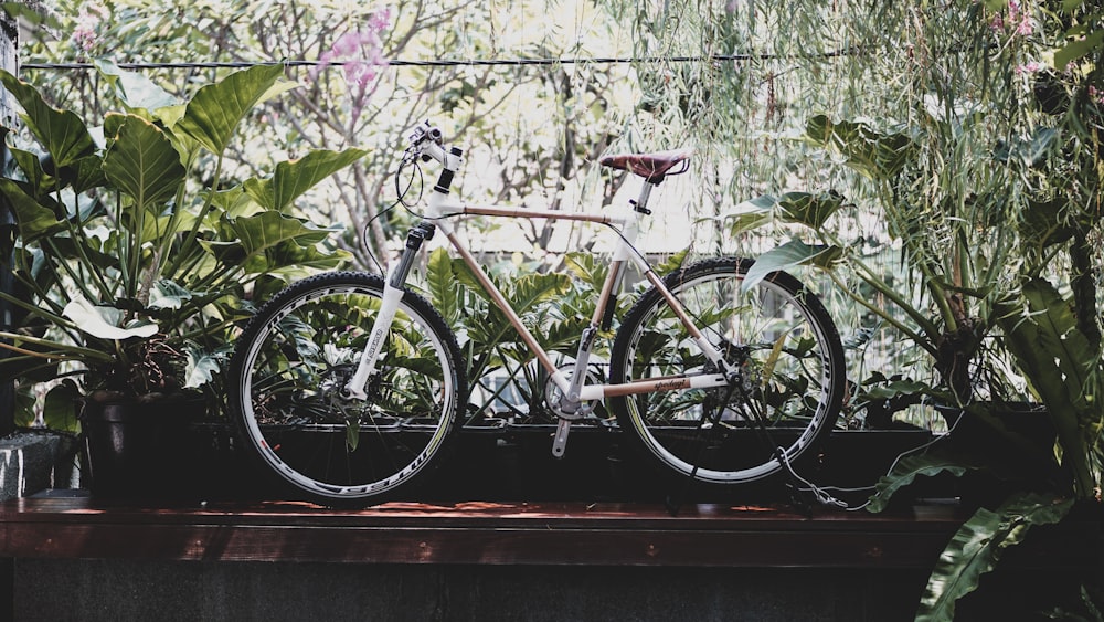 brown hardtail bike