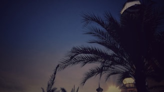 Silhouette of a digital map highlighting UAE, KSA, Qatar, Oman, and Bahrain in deep blue and gold.