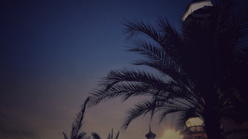 Silhouette of a digital map highlighting UAE, KSA, Qatar, Oman, and Bahrain in deep blue and gold.