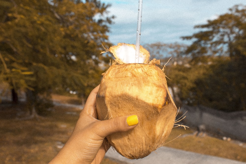 Persona che tiene il frutto della noce di cocco con la cannuccia della cerniera
