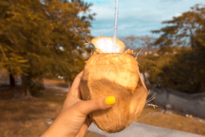 person holding coconut fruit with zip straw bahamas teams background