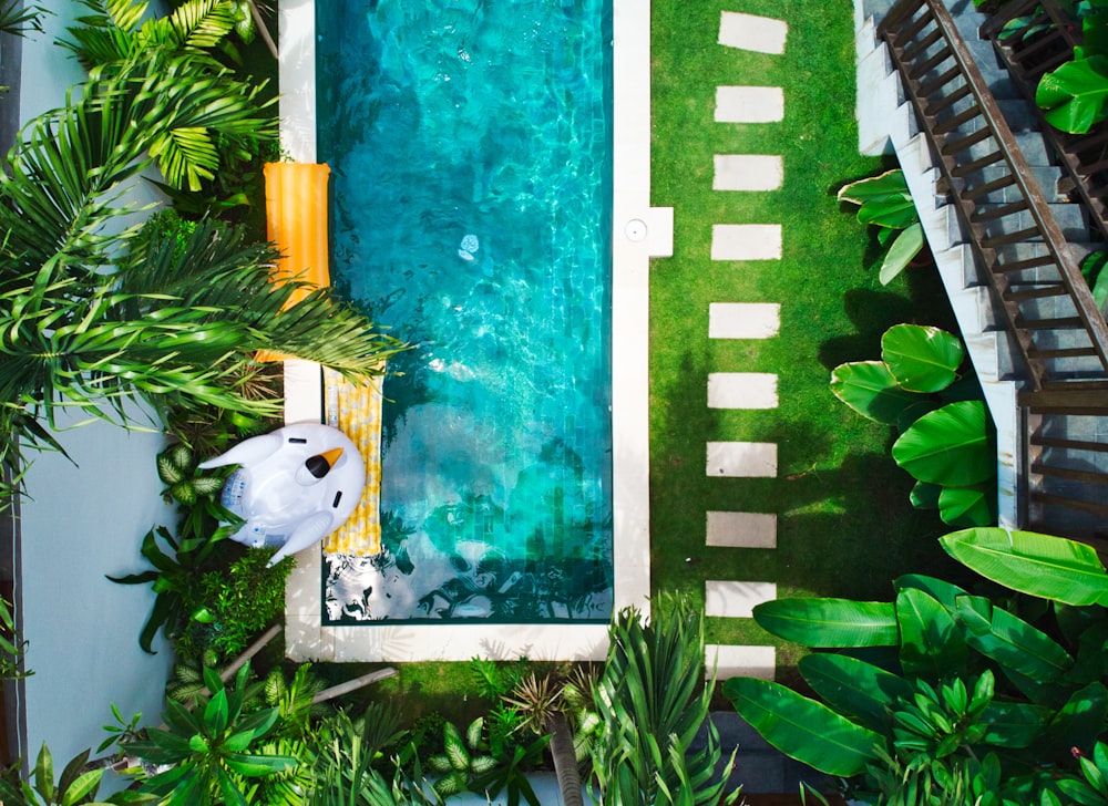 aerial photography of pool