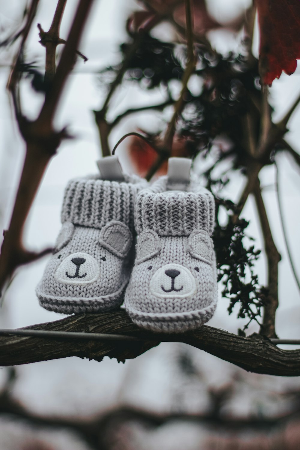 pair of grey knit shoes on tree branch