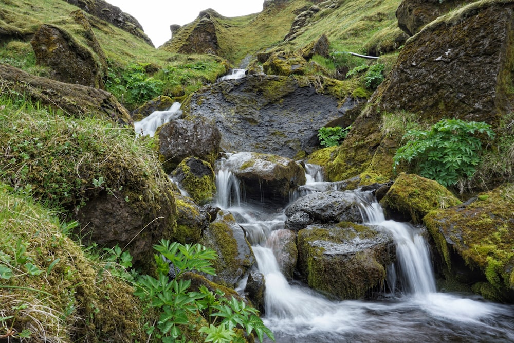 rocks along river