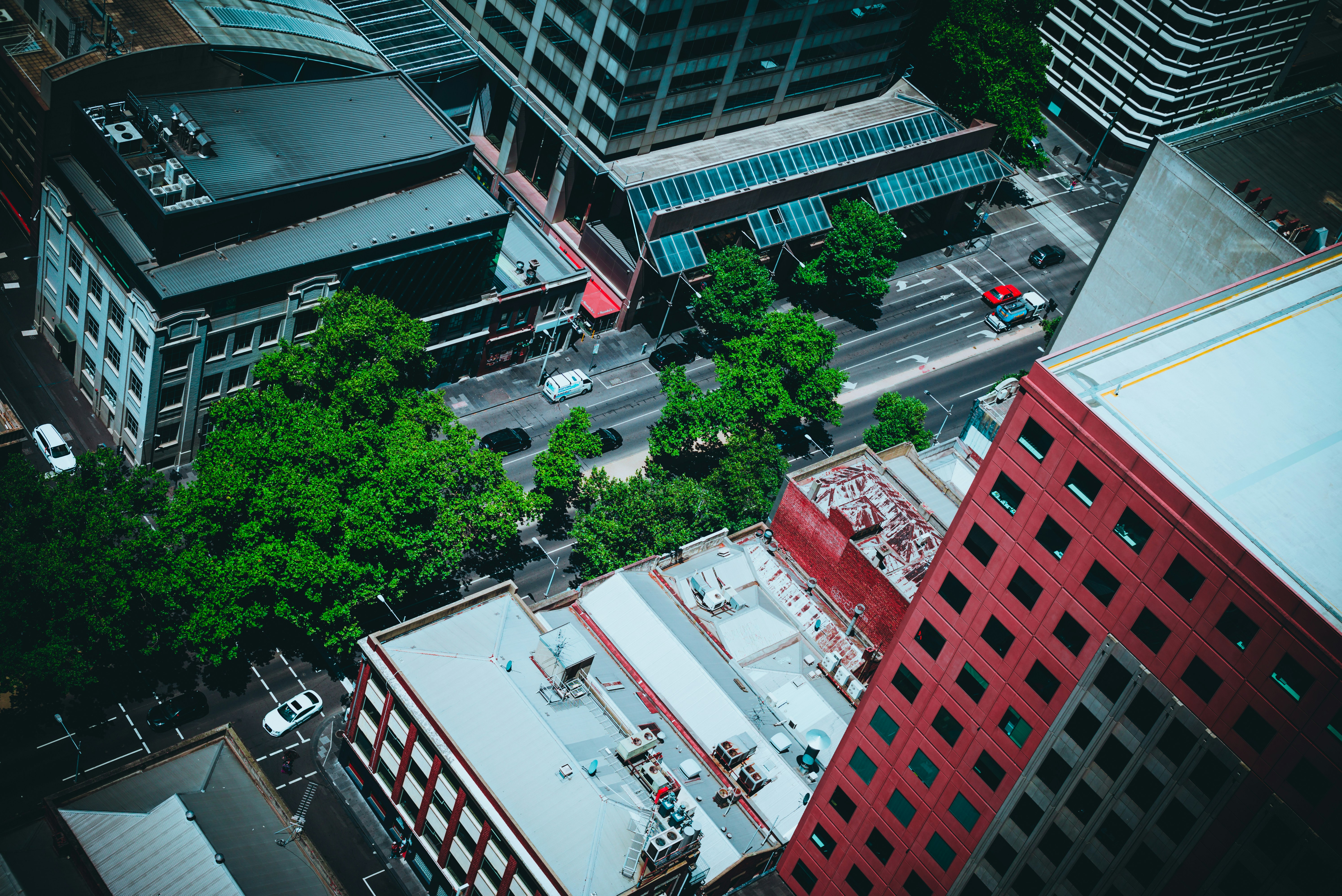 Photo by guoshiwushuang