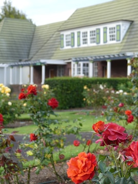 A charming garden with vibrant red and orange roses in full bloom in the foreground. In the background, a quaint house with a sloped, green-tiled roof and white-framed windows is partially visible. The house has a brick facade and is surrounded by well-maintained greenery.