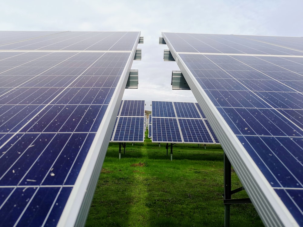 blue and white solar panel lot