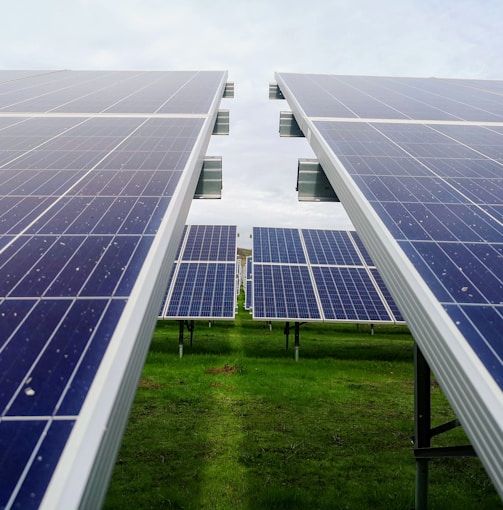 blue and white solar panel lot