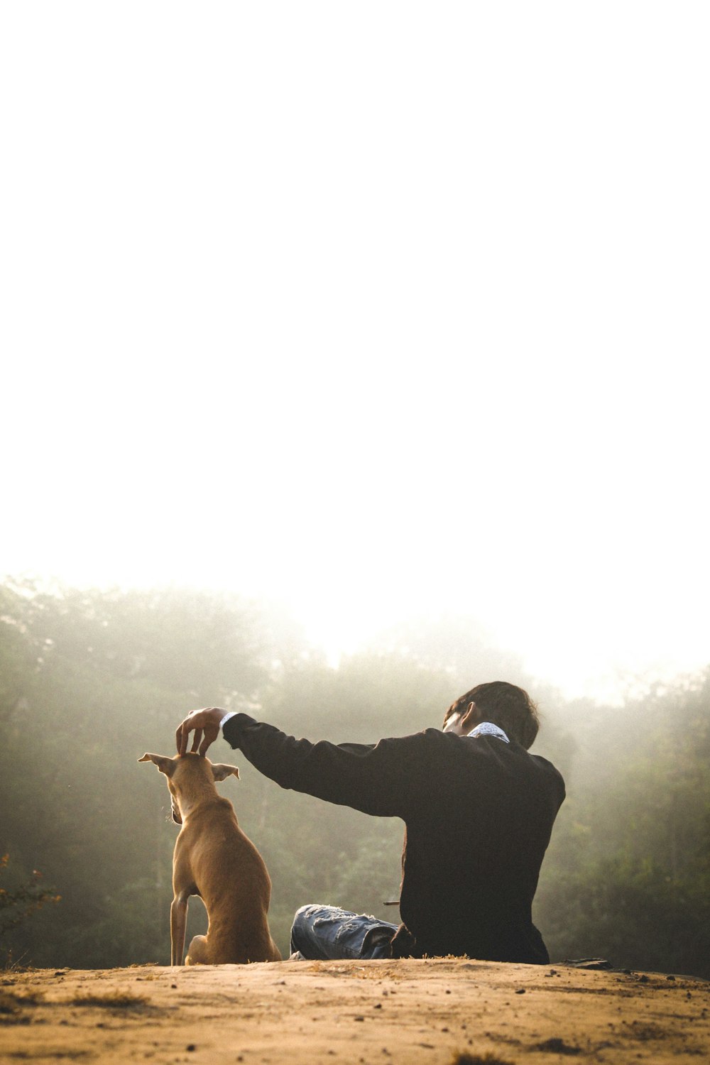 man sitting beside brown dog during daytime