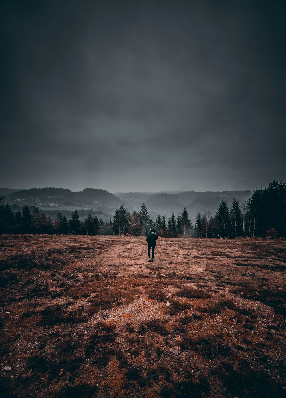 person standing on brown field near trees