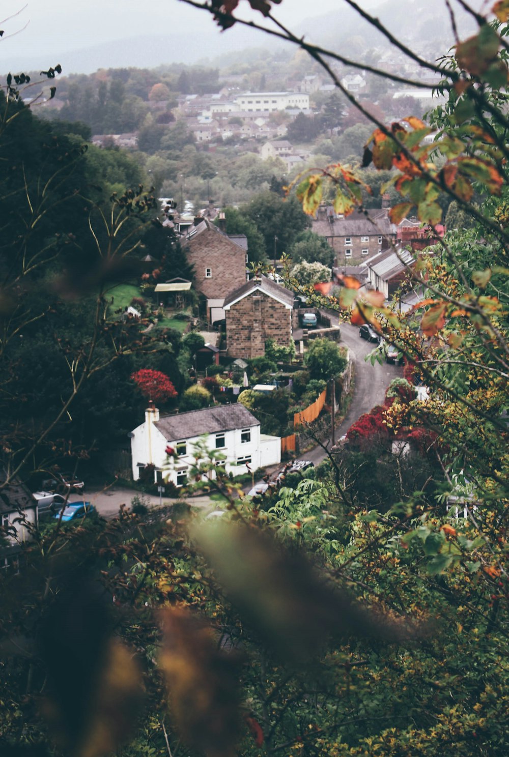 houses beside road