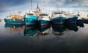 six blue-and-white boats on body of water during daytime