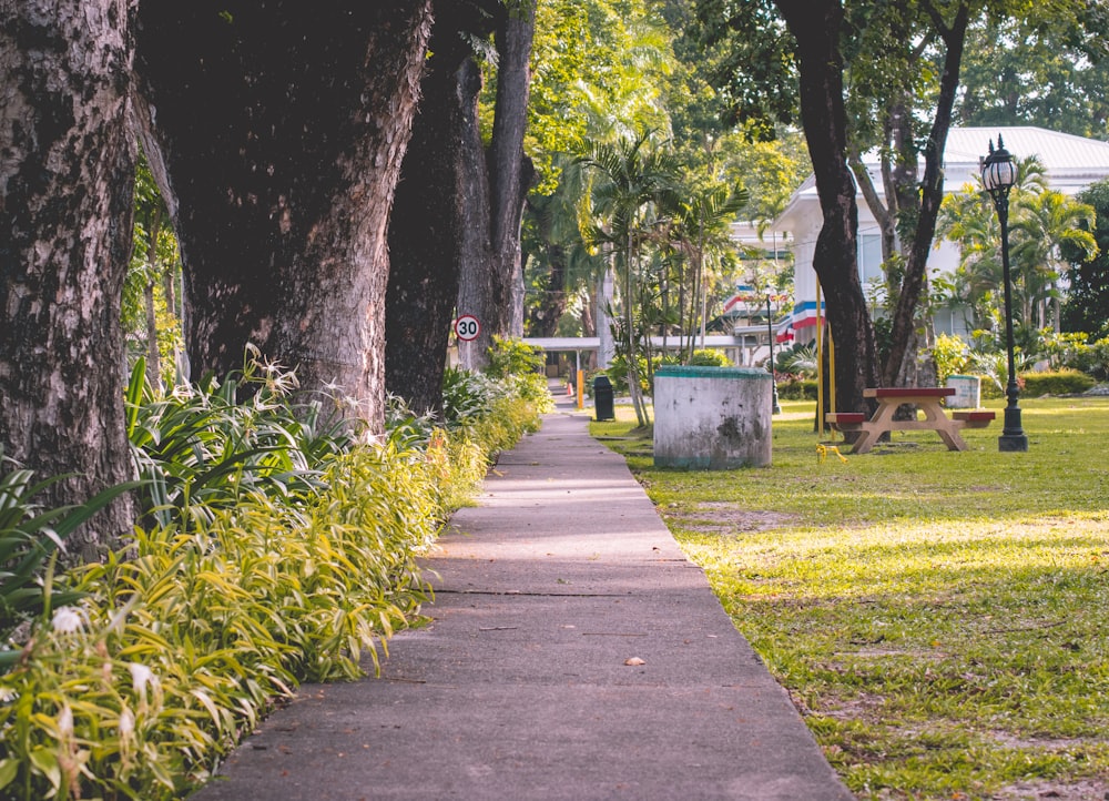 gray concrete pathway