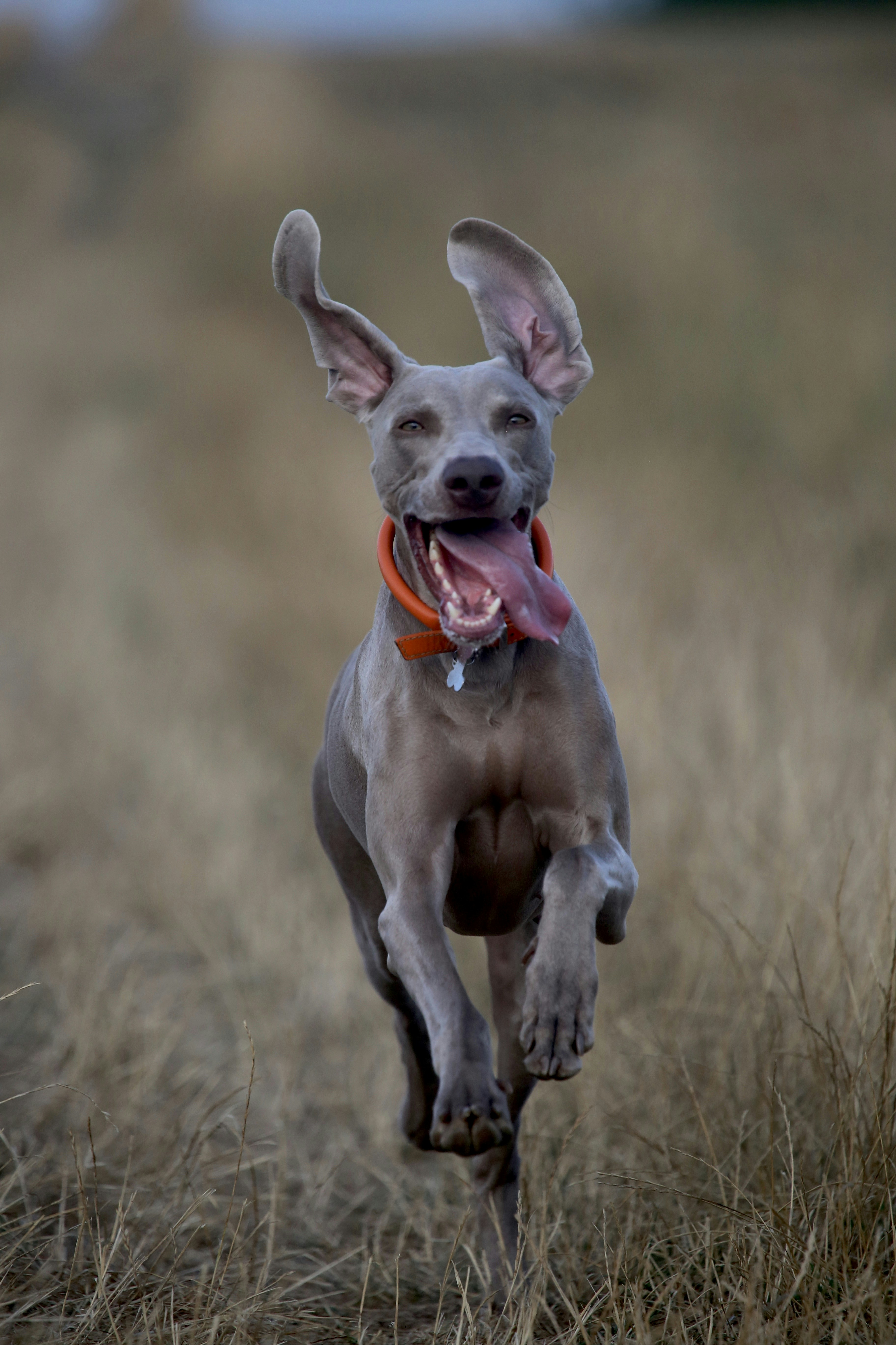 The Real Cost of Model Parameters You're Not Measuring