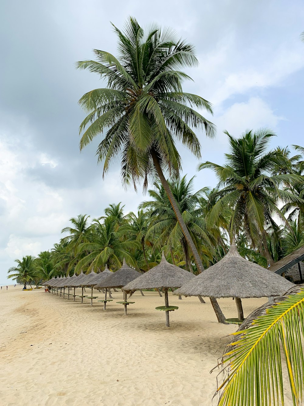 Landscape of beach front