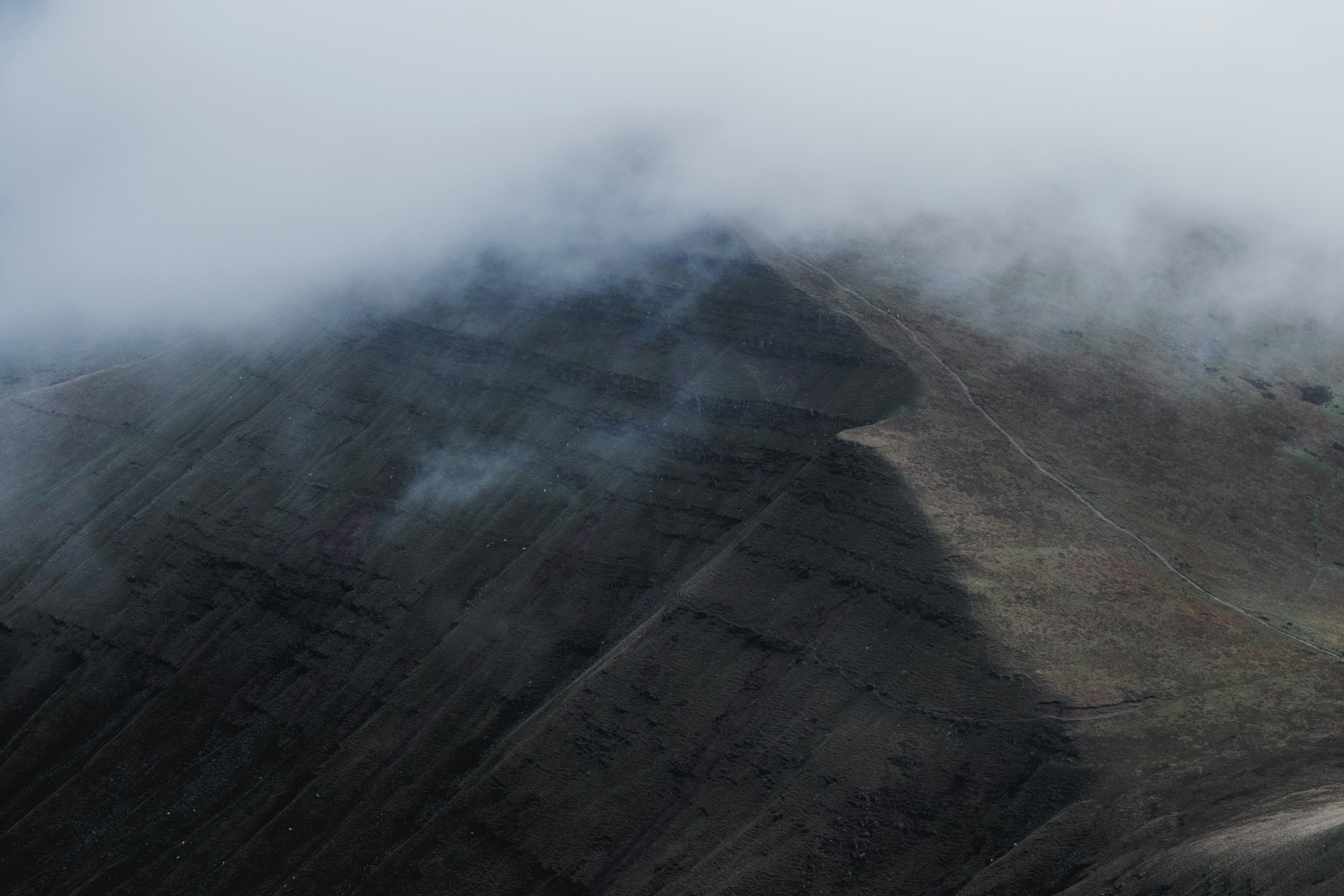 Photo by will_bolding_photography