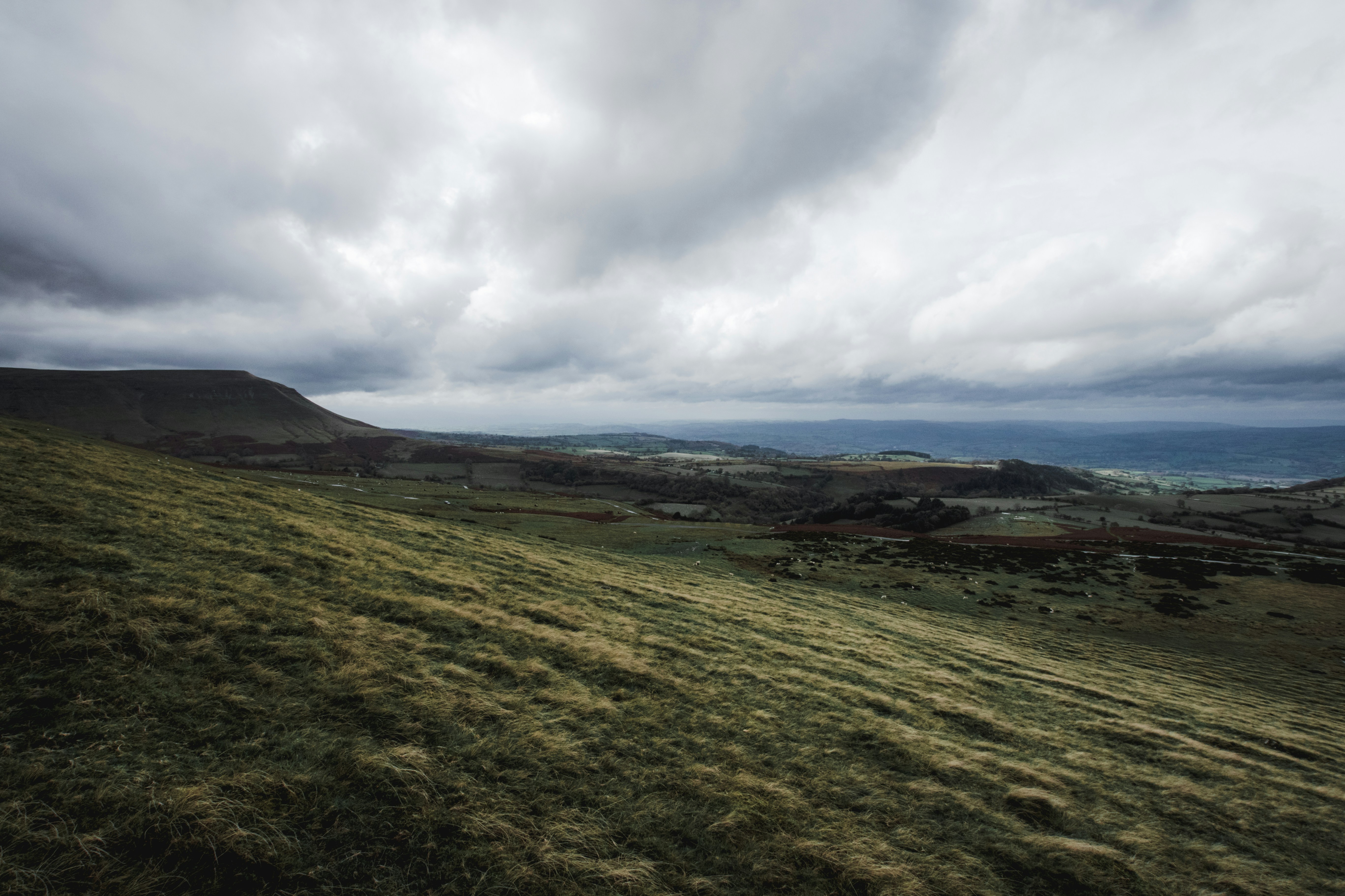 Photo by will_bolding_photography