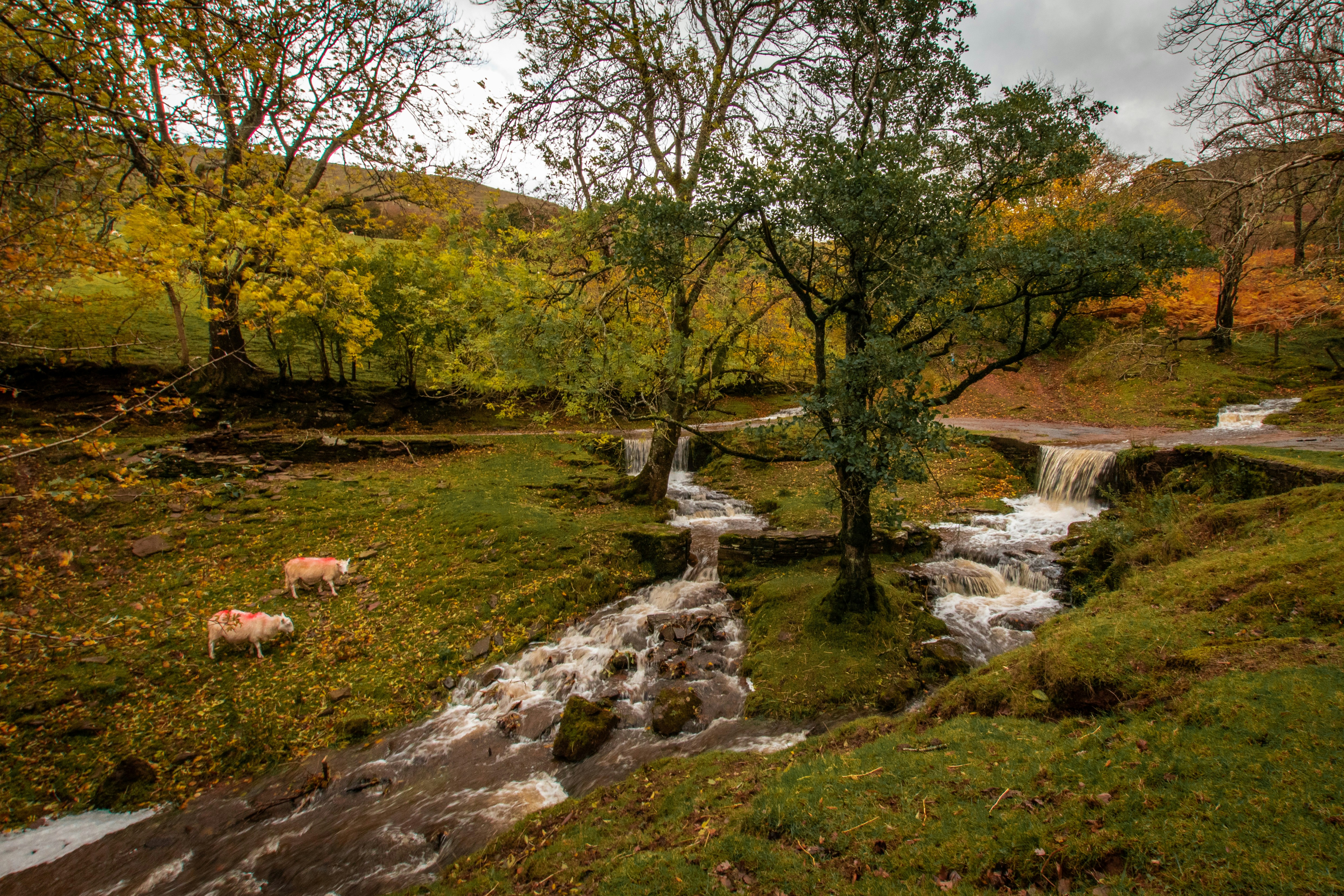 Photo by will_bolding_photography