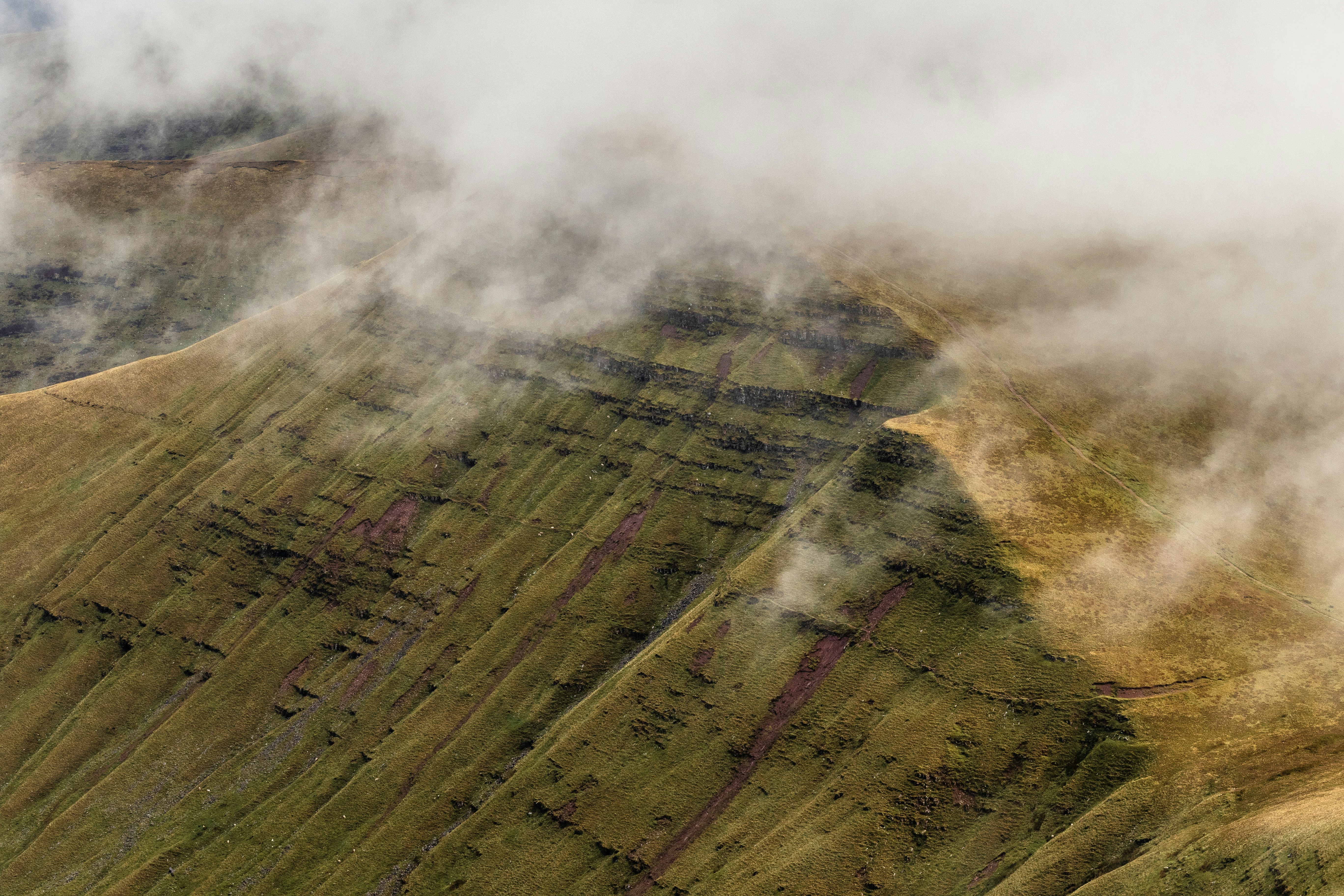 Photo by will_bolding_photography